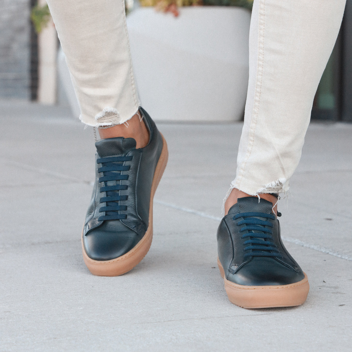 36's Laceless Low Top - Image 80