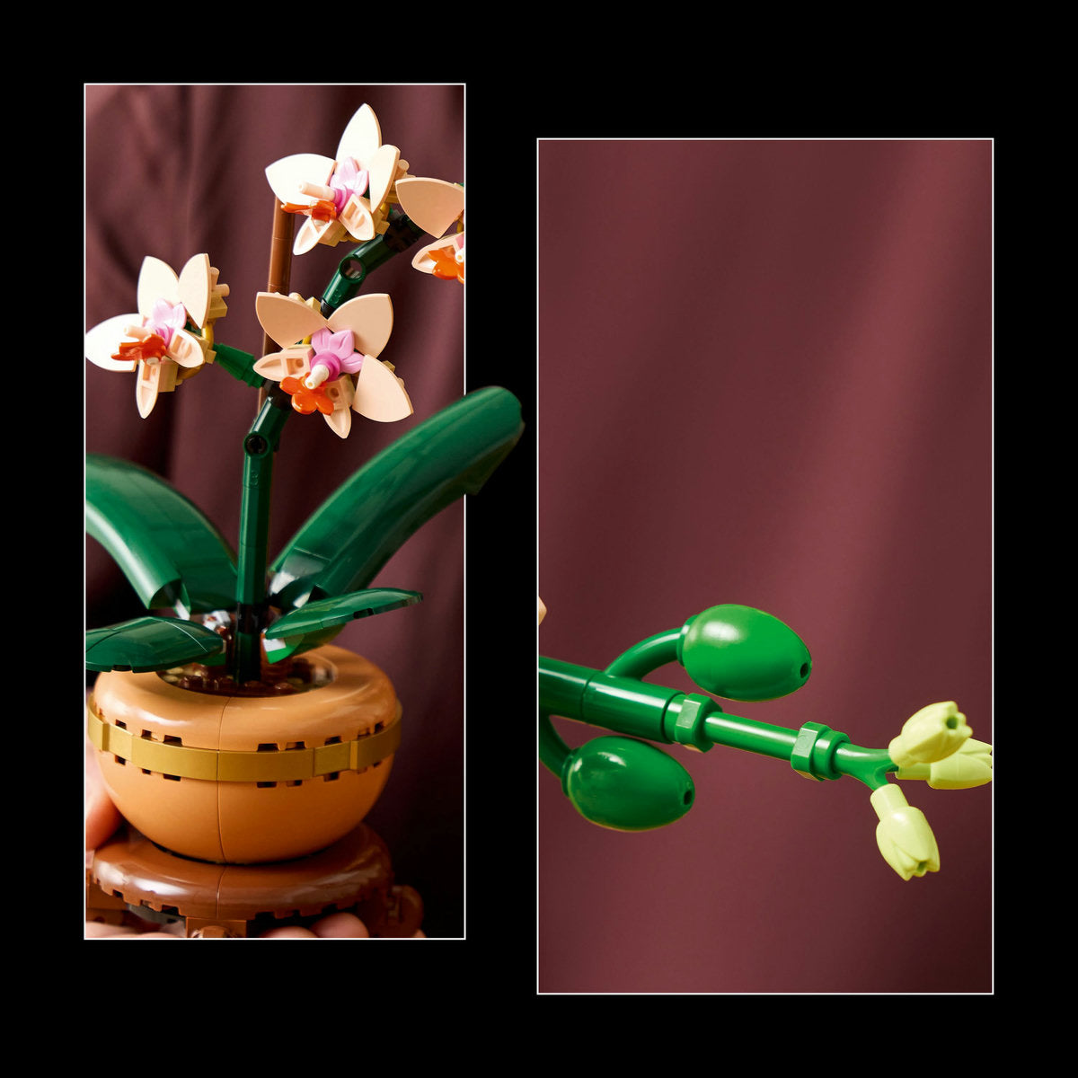 LEGO? Botanicals Mini Orchid Plant Gift 10343 - Image 6