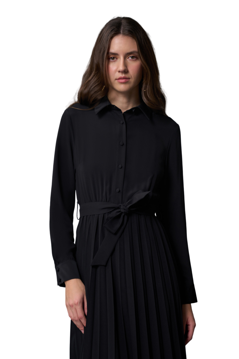 Shirt Dress With Pleated Skirt - Skirt - Image 18