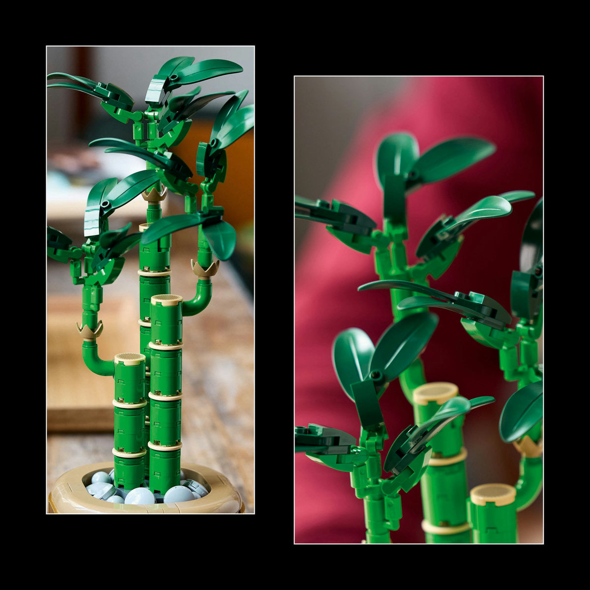 LEGO? Botanicals Lucky Bamboo Plant Decor 10344 - Image 5