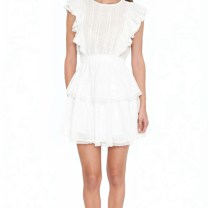 Clip Dot Lace Ruffled Mini Dress