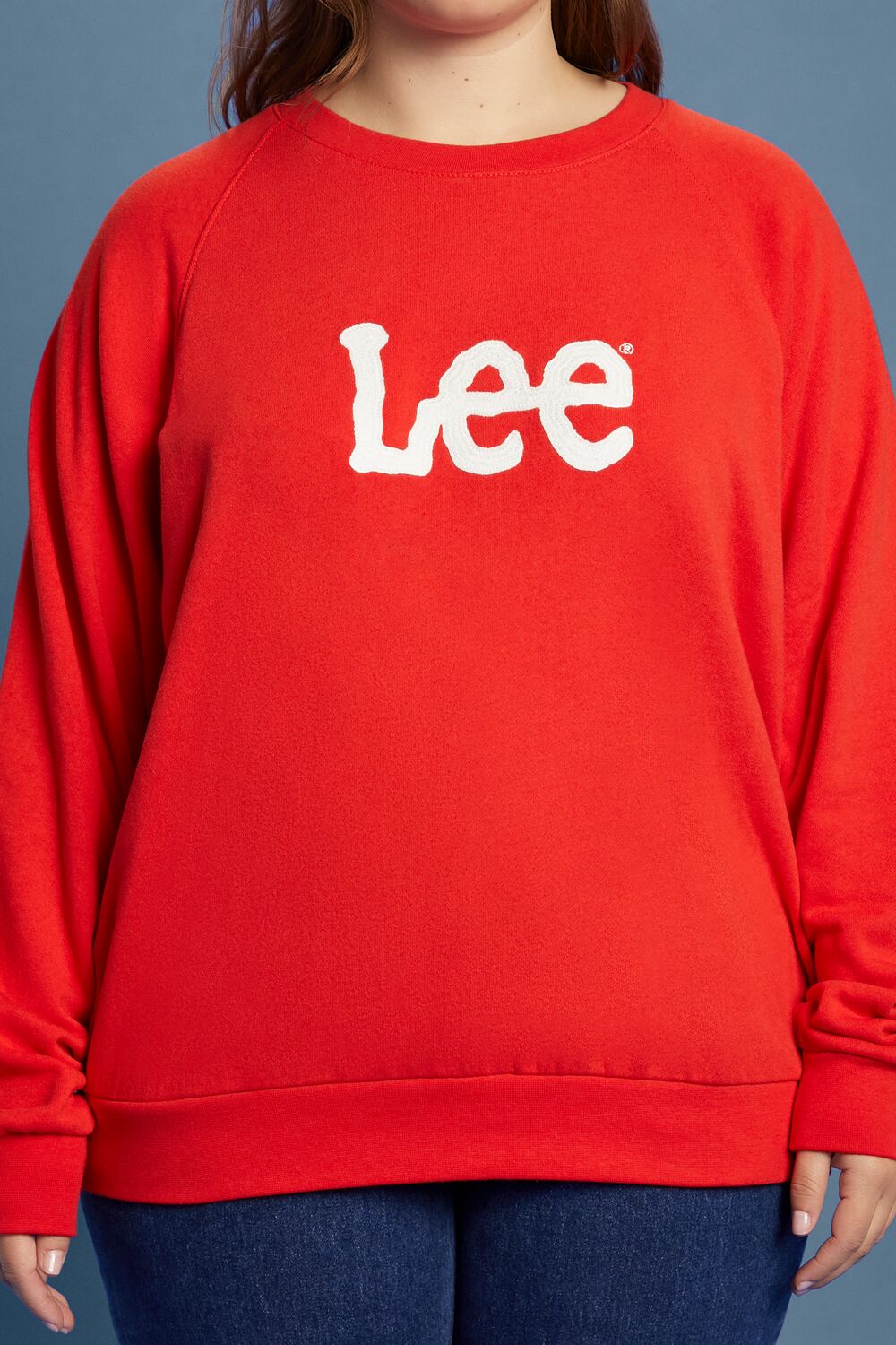 Plus Size Fleece Lee Graphic Pullover - Image 3
