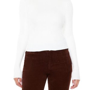 Ribbed Mock Neck Sweater