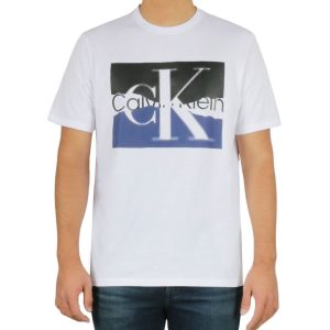 Short Sleeves Torn Logo Crew Tee